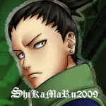 Shikamaru2009