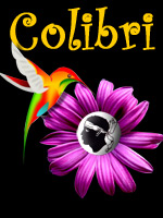 colibri