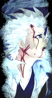 Hitsugaya Tshir