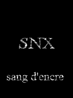 SNX