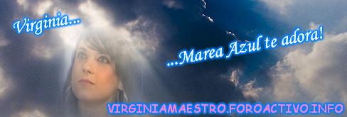 banner de noelia virginia ii