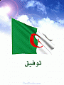 توفيق2788