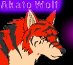 Akato Wolf