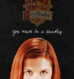 Im A Weasley