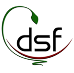 DSF