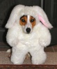 the bunny-dog