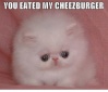 ohh jenny eated her cheseburger!! THAT FATTY!!!