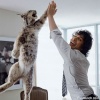 hey arey high five me
*arey is the cat*