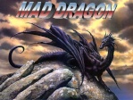 mad dragon