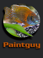 Paintguy