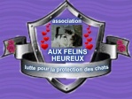 auxfelinsheureux