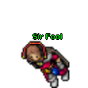 Sir Fool