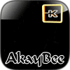 AkayBee