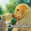 Sunflake