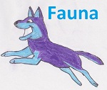 Fauna