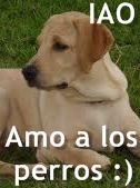 Amo a los perros 1