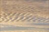 Strato-cumulus ondulatus "torsadés" avant un coucher de soleil.