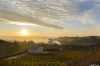 Coucher de soleil du 28 Novembre pas loin de Saint Emilion.