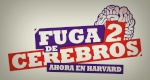 Fuga de Cerebros ADM