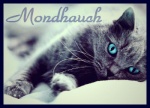 Mondhauch