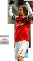 Rosicky