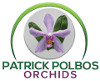 Patrick POLBOS Orchids