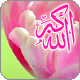 عجائب وغرائب 1110