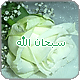 قــصــص وعـــبـــر 810