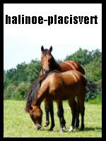 halinoe-placisvert