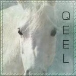 Qeel