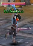 Lechoufleur