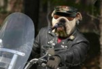 bikerdave