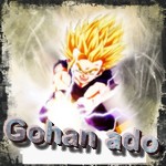 Gohan ado