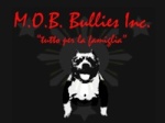 M.O.B. Bullies Inc.