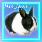 Miss_lapin