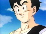 Gohan_san