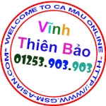 vĩnh_thiên_bảo