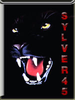 sylver45