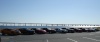 BSM Membership photo at Sandy Point Park and the Bay Bridge