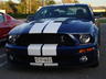 Bay Side Mustangs Giant Food Tuesday Night Cruise October - November 2008 Pat_s_10