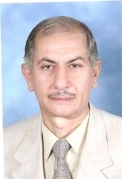 حسن محمد البدوي