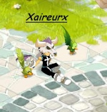 Xaireurx