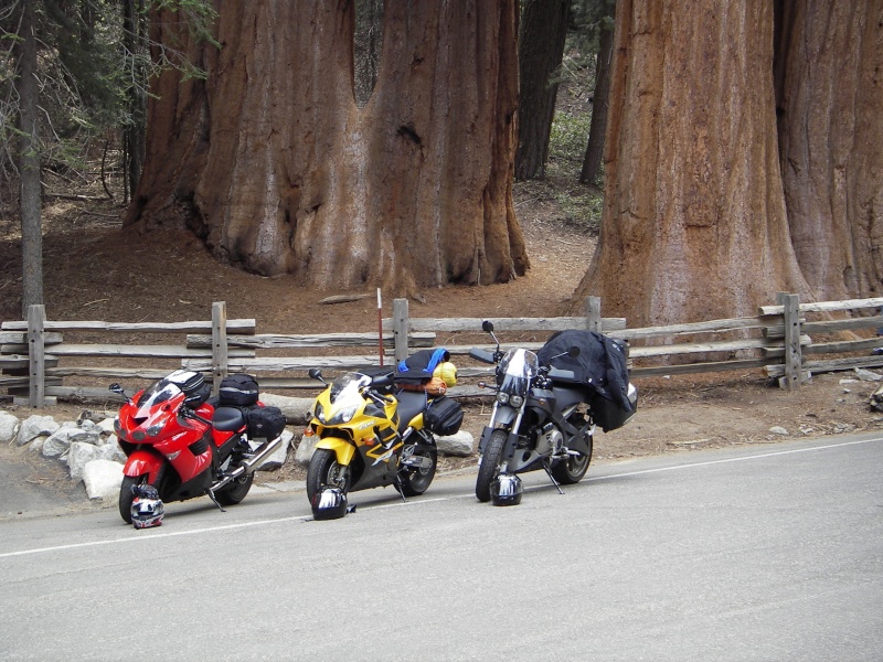 Giant Sequoia National Park