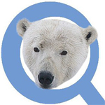 PolarBear