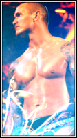 Randy Orton