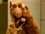 ALF007