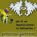 princesse-guerriere