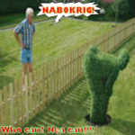 Nabokrig