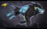 Luxray18