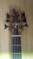 Bima_Oak bass